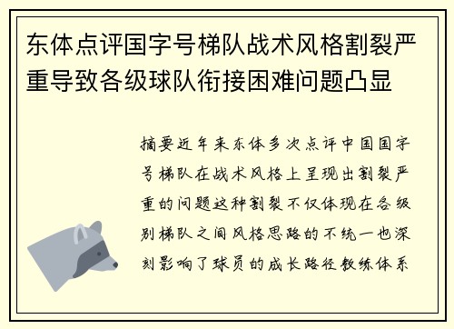 东体点评国字号梯队战术风格割裂严重导致各级球队衔接困难问题凸显